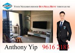 Palm Isles (D17), Condominium #153237352